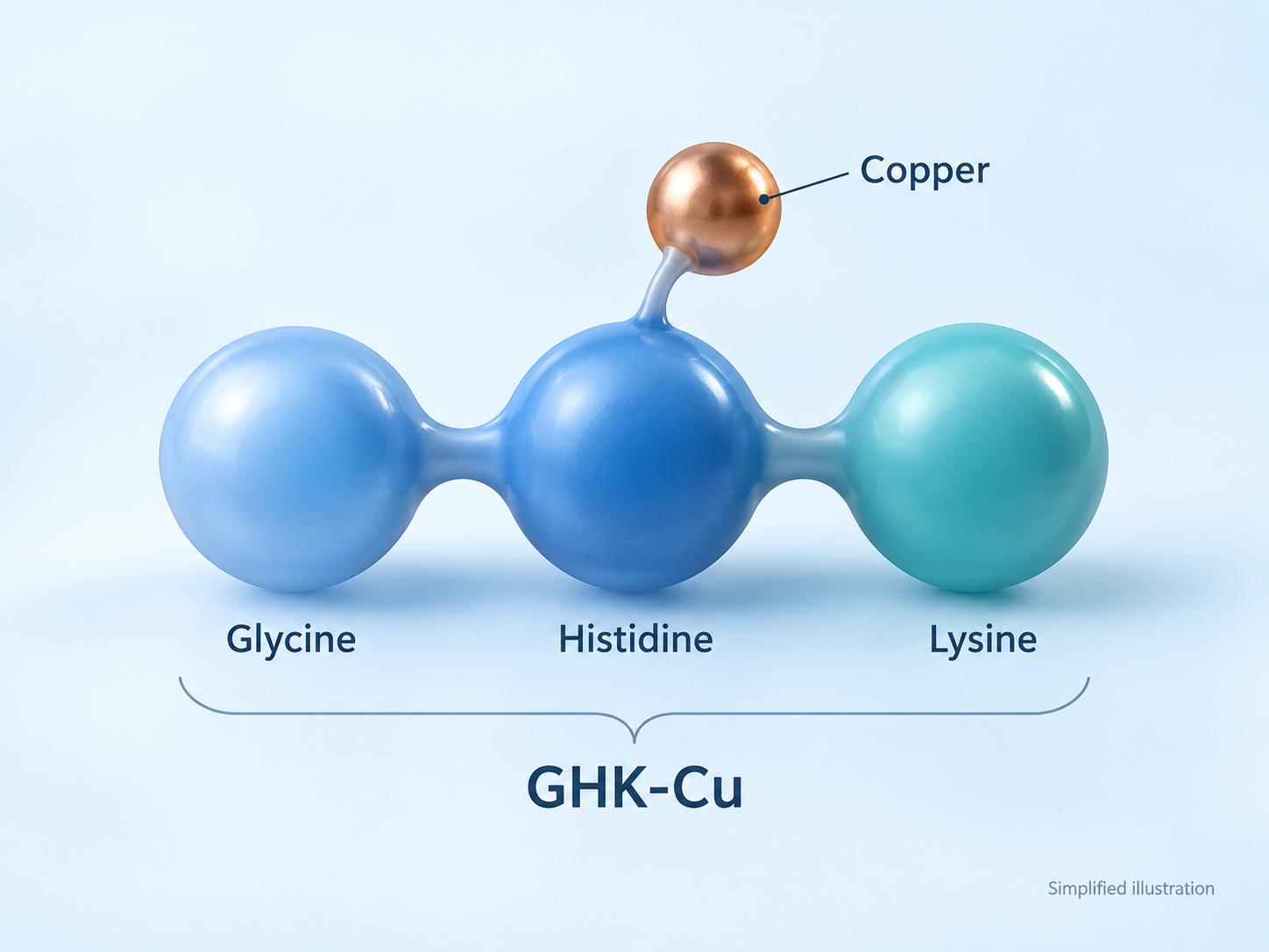 Simplified illustration of glycine, histidine, lysine and copper forming the GHK-Cu topic.